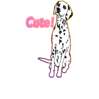 Dog Dalmatian Sticker