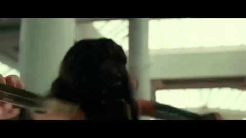 shannonconnellan giphygifmaker GIF