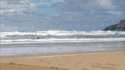 summer beach GIF by MASTERPIECE | PBS