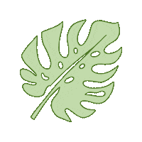 someshelly green plant plants tropical Sticker