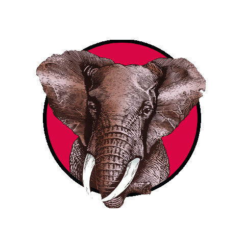 Sticker by KAMBAKU Power Coccao