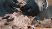 sonnysbbq fire bbq barbecue smoker GIF