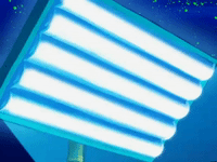 season 6 GIF by SpongeBob SquarePants