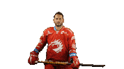 Celebrate Ice Hockey Sticker by HC Oceláři Třinec