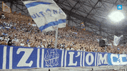 Orange Velodrome Football GIF by Olympique de Marseille