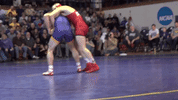 unifight panthertrain GIF by UNI Athletics