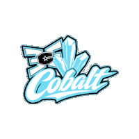 Cobalt Sticker by East Celebrity Elite