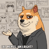 Presenting Shiba Inu GIF by Doge Pound