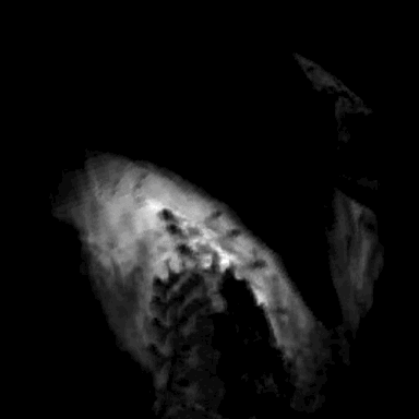 glitch montreal GIF by Death Orgone