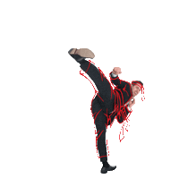 Karate Sticker by Exact Software
