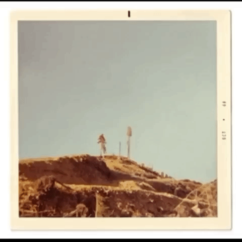 art app GIF by The Videobook