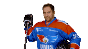 unisflyers goal eagles flyers nederland Sticker