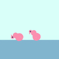 ivangulizia fight head respect combat GIF