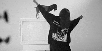 kodieshane dog dancing bts music video GIF