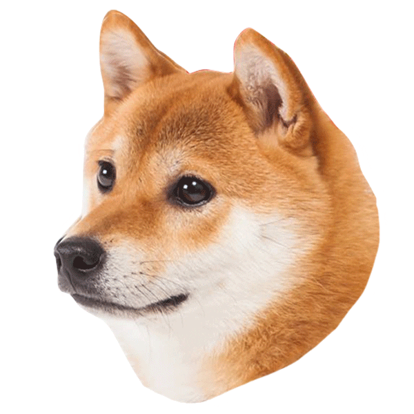 adlibfashion giphyupload valentinesday shiba pjai Sticker