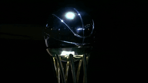 liga endesa basketball GIF by ACB