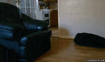 force use GIF