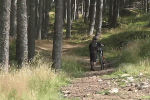 Glenlivet GIF
