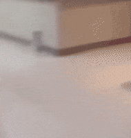 Run Running GIF