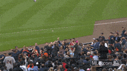 Major League Baseball Reaction GIF by Detroit Tigers