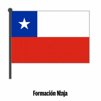 Flag Chile GIF by Formación Ninja