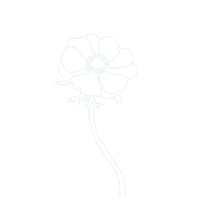 Summer Flower Sticker