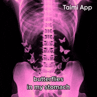 X Ray Butterflies GIF by Taimi