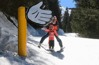 SkiBro skiing skibro GIF