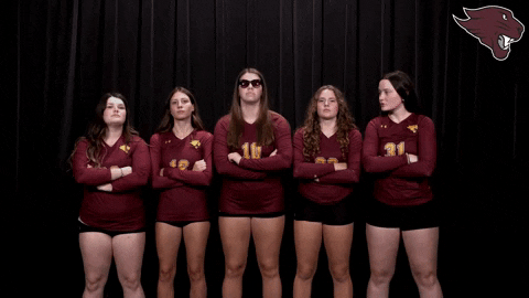 Volleyball GIF by CUCougars
