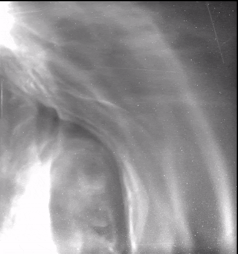 bkmnsk giphyupload GIF