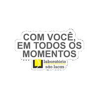laborsaolucas labor labory laborcomvc Sticker