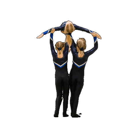 Teamgym Sticker by Seinäjoenvoimistelijat