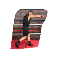 budoboxing mma boxing martial arts budo Sticker