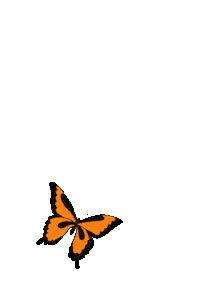 Fly Flying Sticker