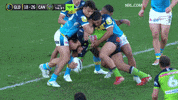 Try Nrl GIF by Canberra Raiders