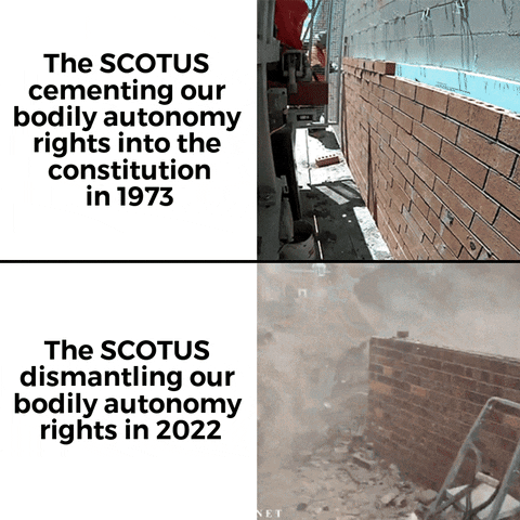 Meme gif. Two gifs. First gif: two men use a machine to lay a brick wall, quickly and efficiently. Text, "The S-C-O-T-U-S cementing our bodily autonomy rights into the Consitution in 1973." Second gif: A man pokes the roof of a brick structure with a long stick, sending the roof crumbling down and destroying the brick wall holding it up. Text, "The S-C-O-T-U-S dismantling our bodily autonomy rights in 2022."