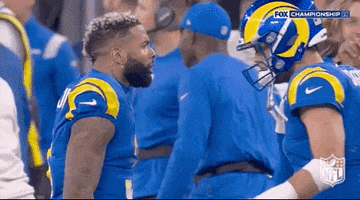 Los Angeles Rams Football GIF by NFL