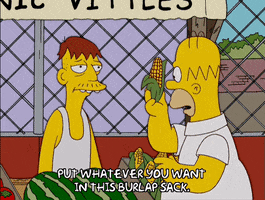 homer simpson GIF