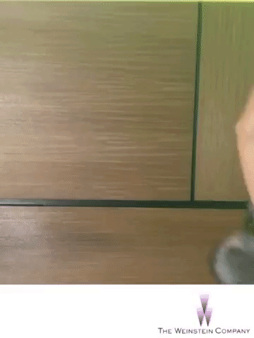 GIF by The Weinstein Company