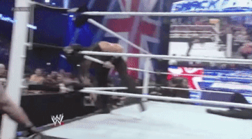 wwe wwe wrestling the shield roman reigns GIF