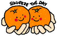 Mandarin Squeezetheday Sticker by PSCafe