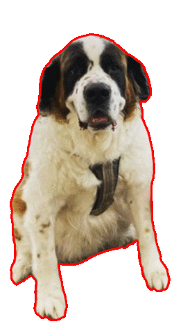 triadcleanhome giphyupload dogs puppy north carolina Sticker
