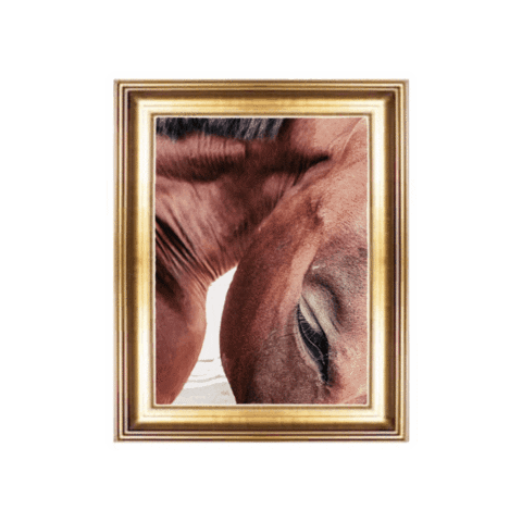 Horse Hunter Sticker by WIT Equestrian Clothing Co.