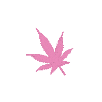 prettypakalolo smoke weed 420 cannabis Sticker