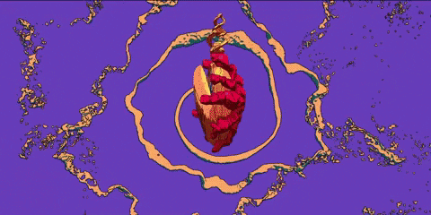 Fields GIF by EARTHGANG