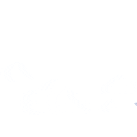 AlaskaAirClub49 airplane alaska airlines club 49 Sticker