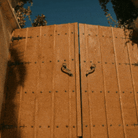 Dizi Sinirli GIF by WASS Medya