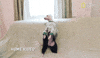 Funny Dogs GIF by Nat Geo Wild