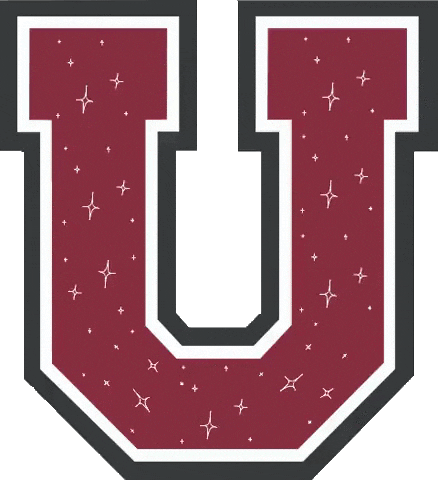 union college Sticker