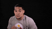 Pittsburgh Steelers GIF by NFL